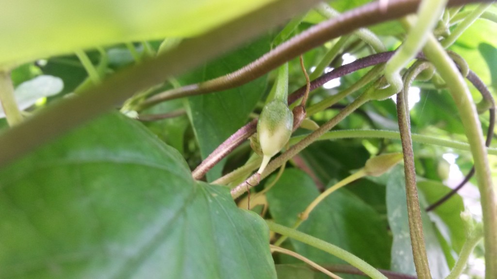 20150223_103256.jpg
