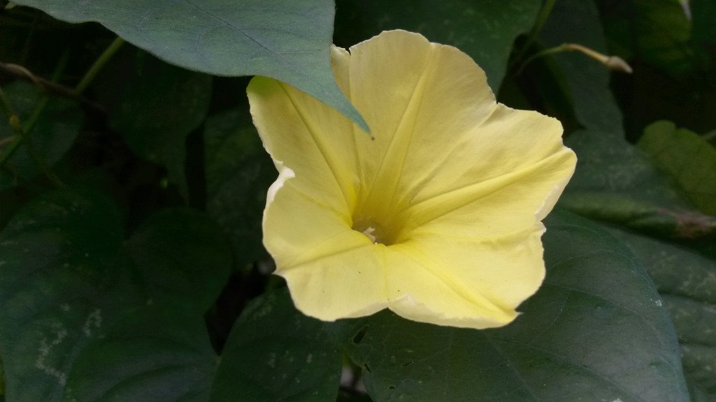 20150223_103334.jpg