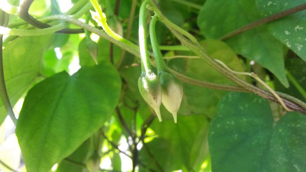20150225_105528.jpg