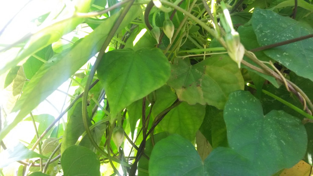 20150225_105557.jpg