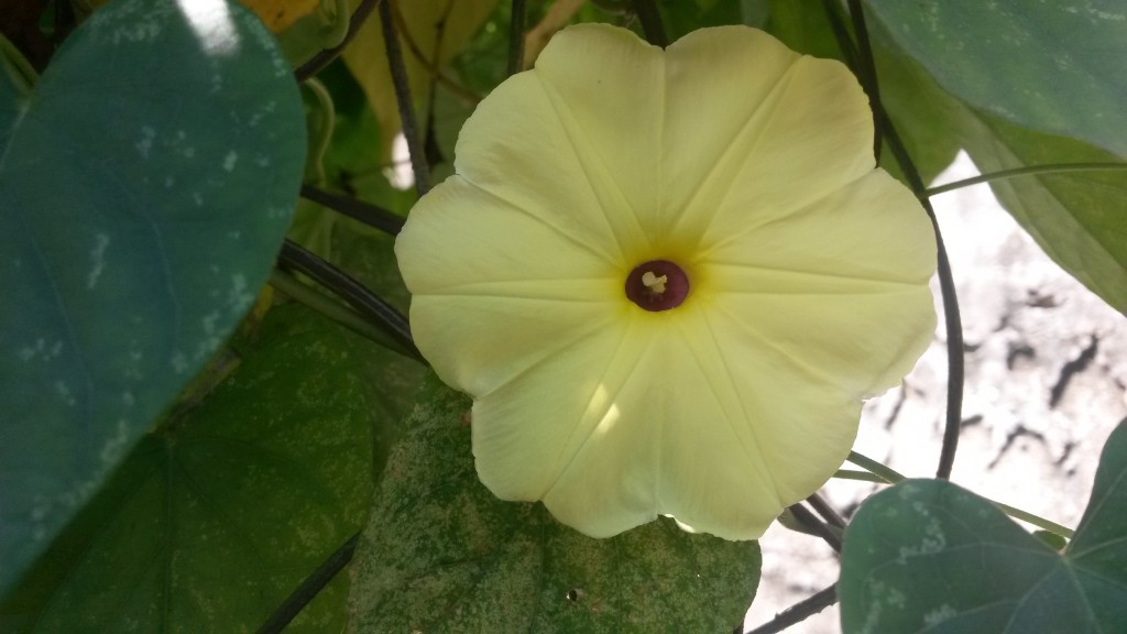 20150225_105712.jpg