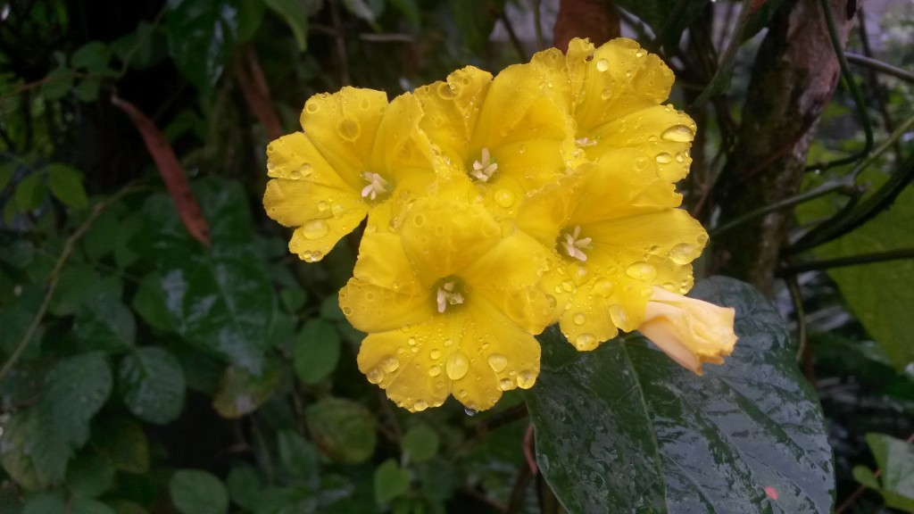20150227_135324.jpg