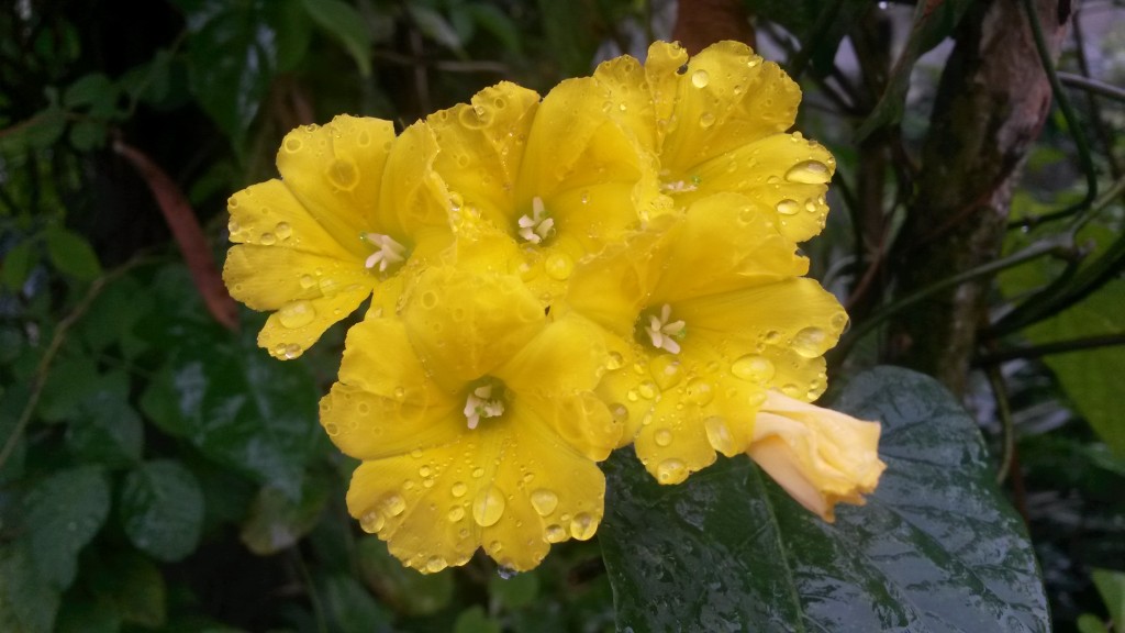 20150227_135328.jpg