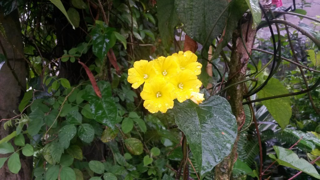 20150227_135333.jpg