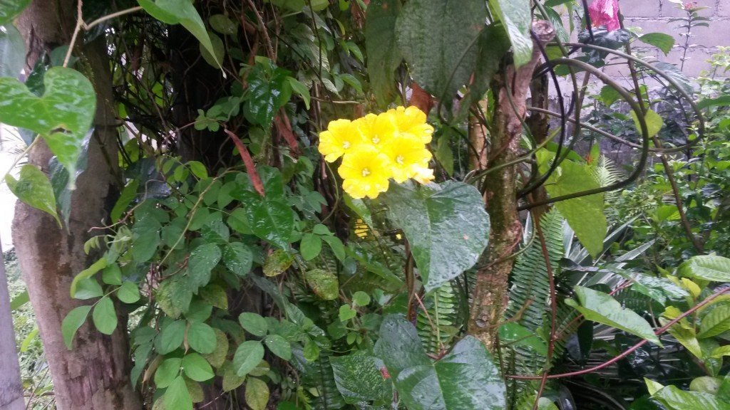 20150227_135337.jpg