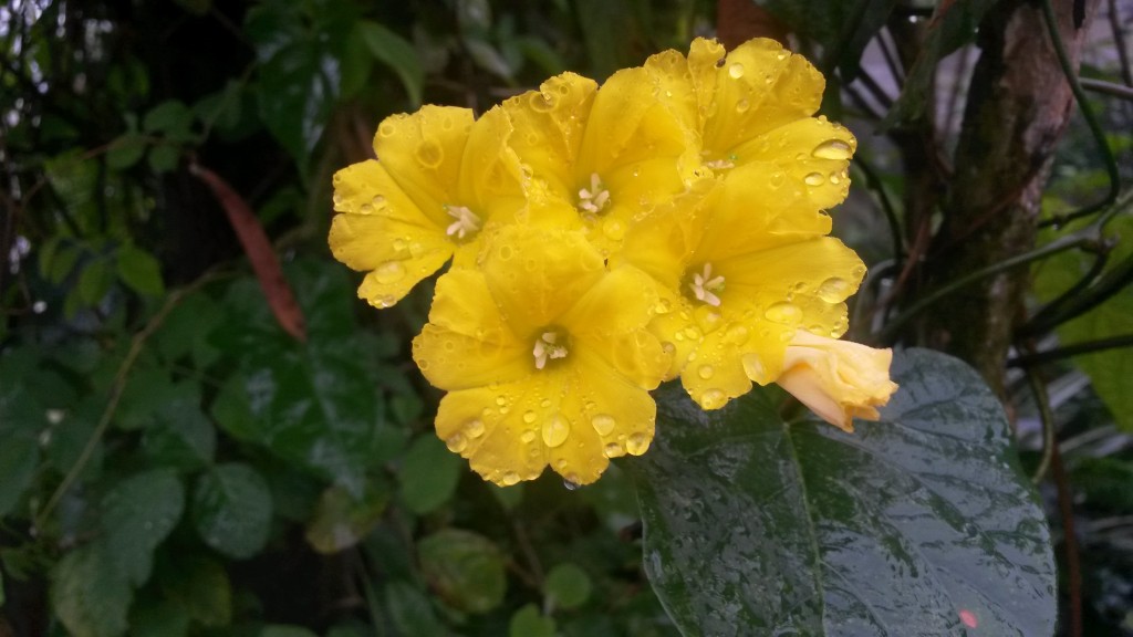 20150227_135341.jpg