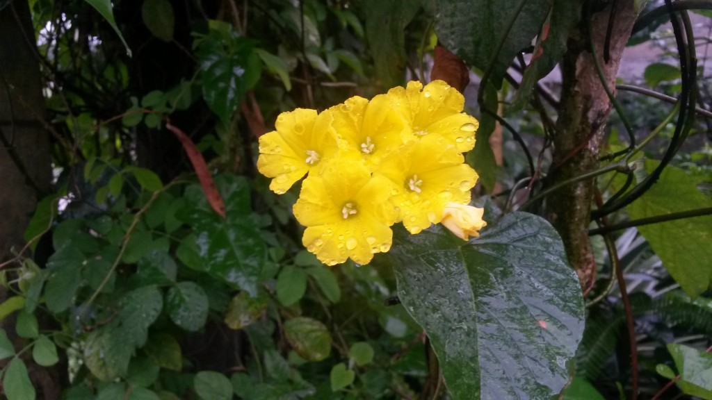 20150227_135343.jpg