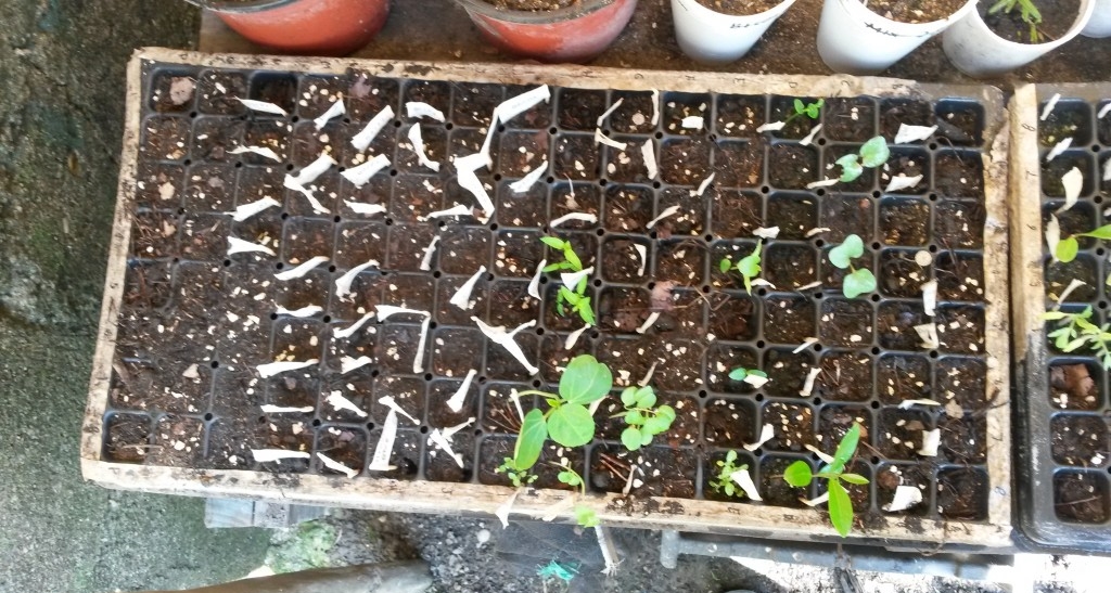 20150304_110324.jpg