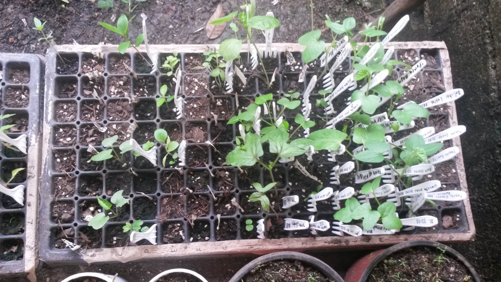 20150314_145145.jpg