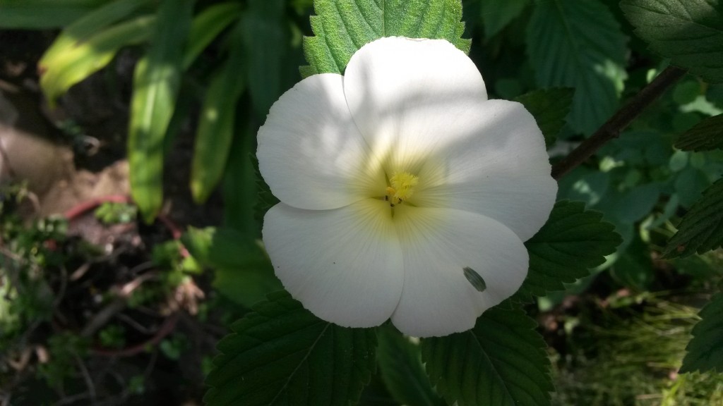 20150319_115740.jpg