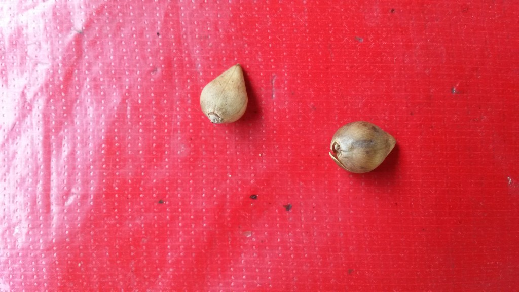 20150319_121638.jpg