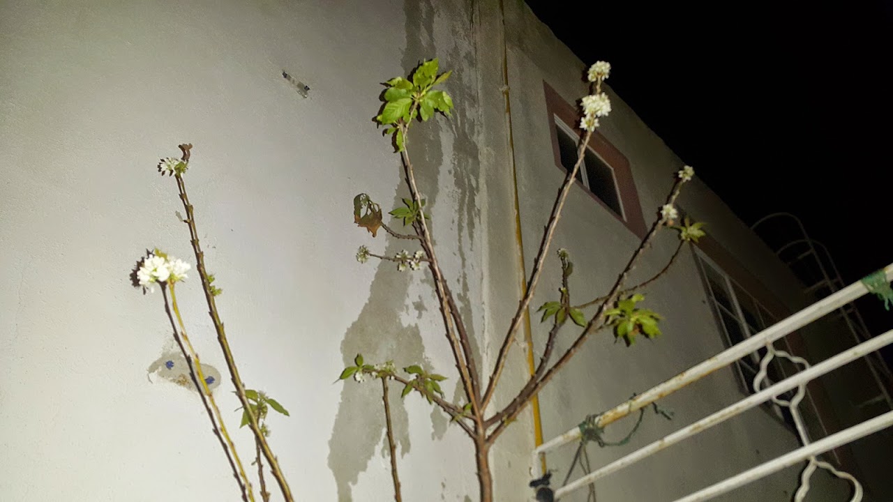 20150323_024805.jpg