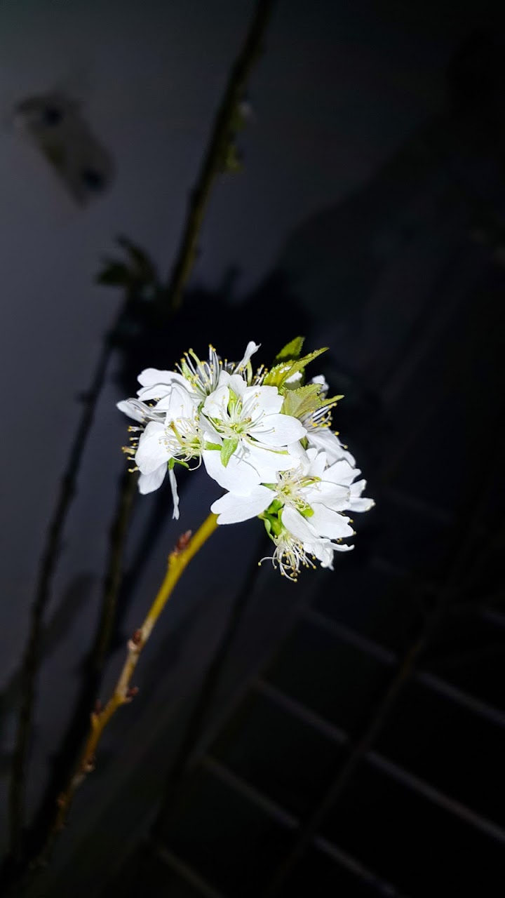 20150323_024815.jpg