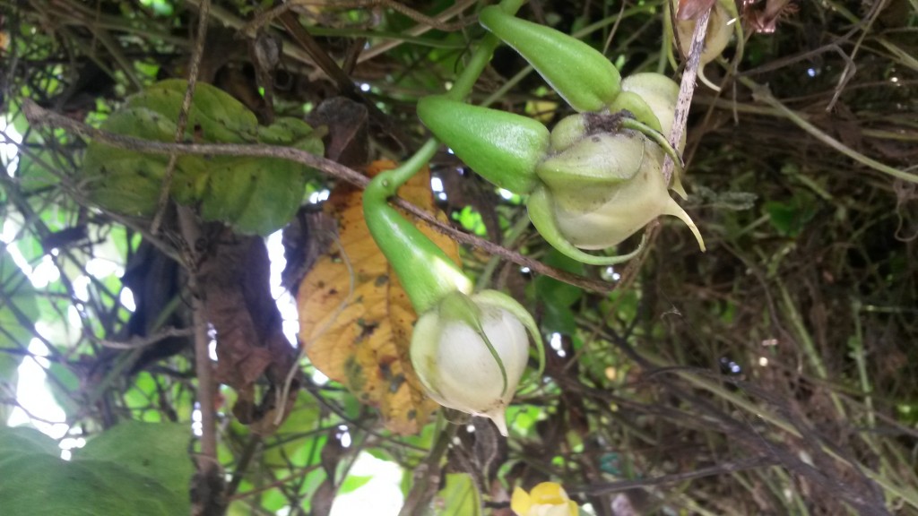 20150324_142616.jpg