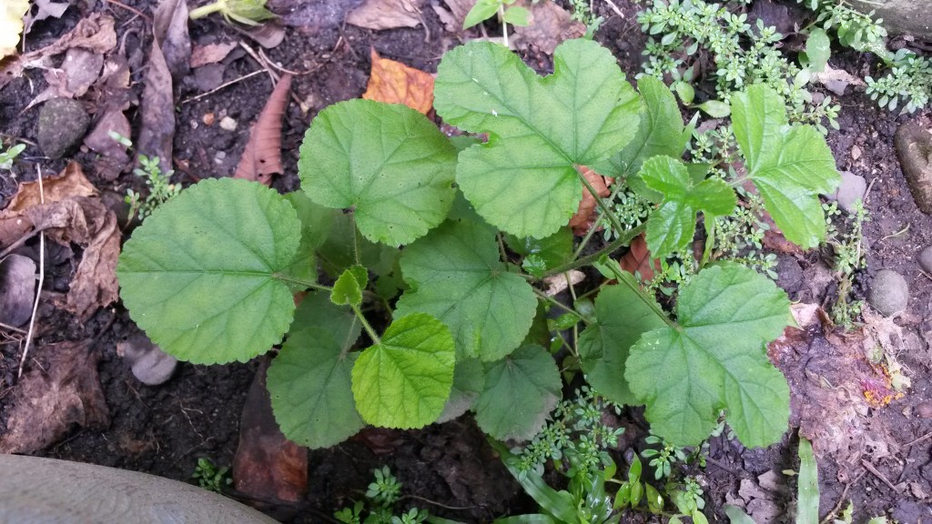 20150330_144337.jpg