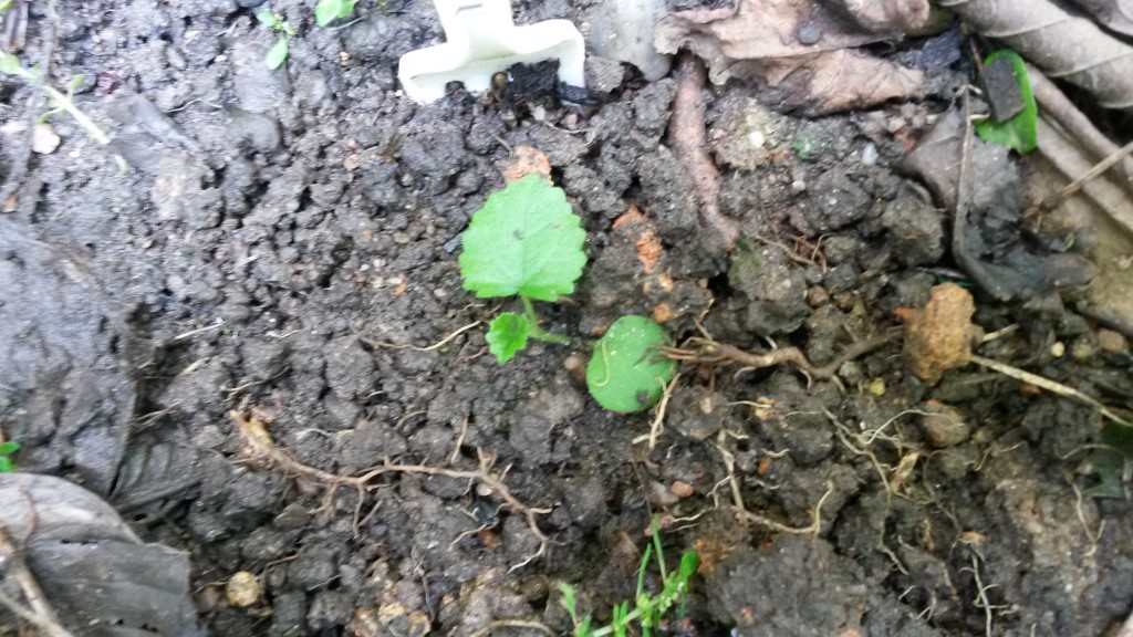 20150330_144404.jpg