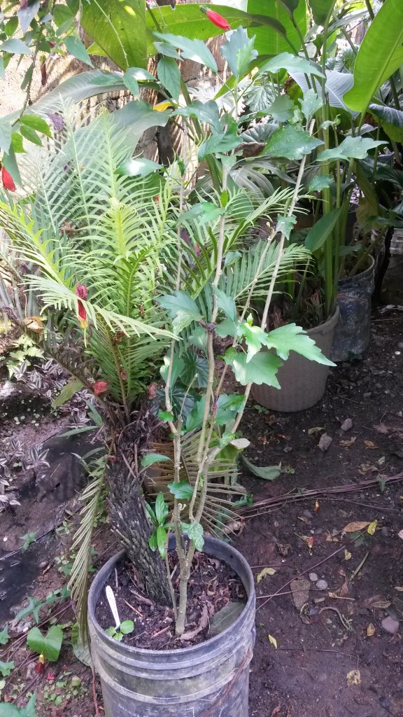 20150330_144441.jpg