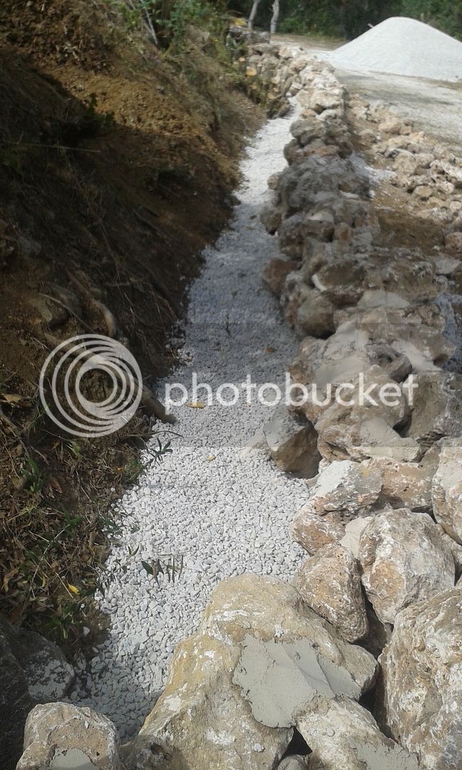 20150423_120005_zps6rexgtky.jpg