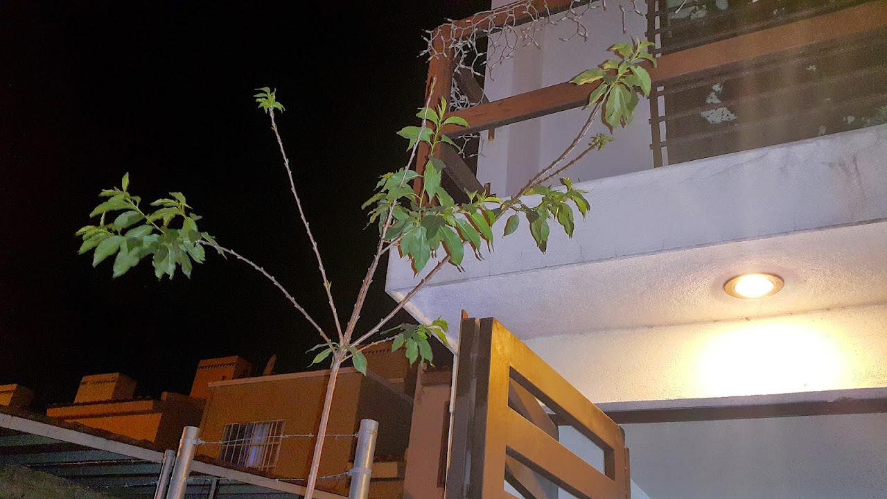 20150426_235117.jpg