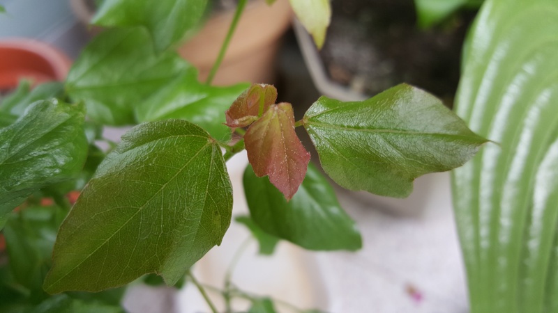20150512.jpg