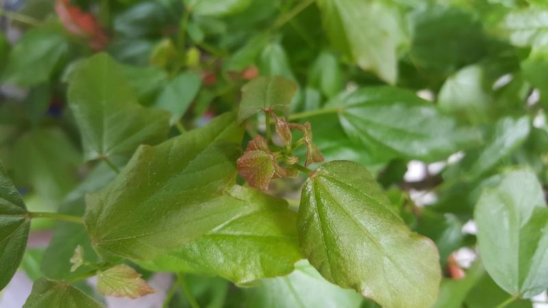 20150513.jpg