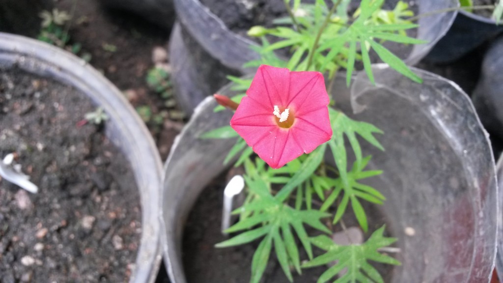 20150514_135823.jpg