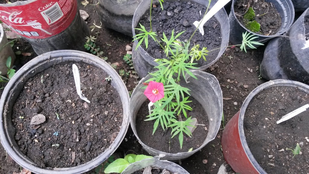 20150514_135837.jpg