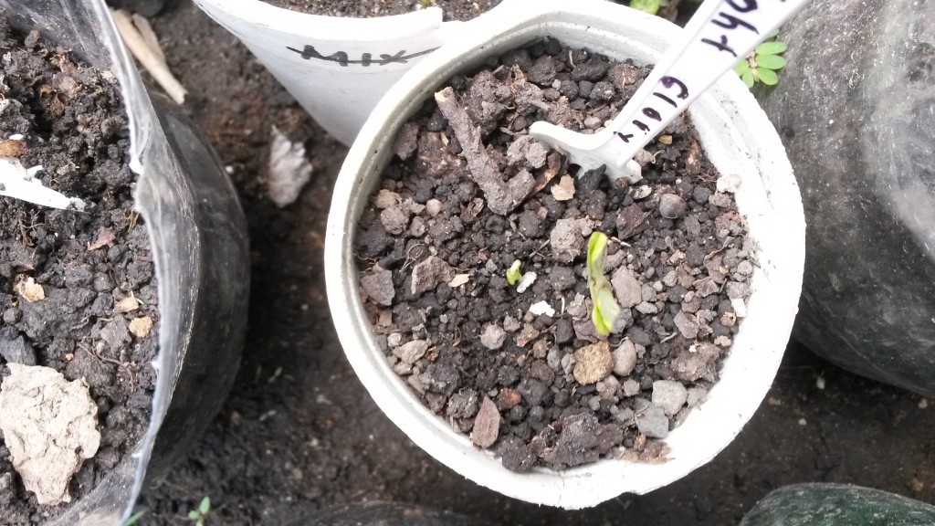 20150514_135849.jpg