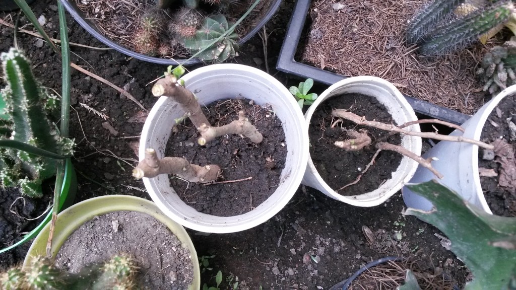 20150514_135958.jpg