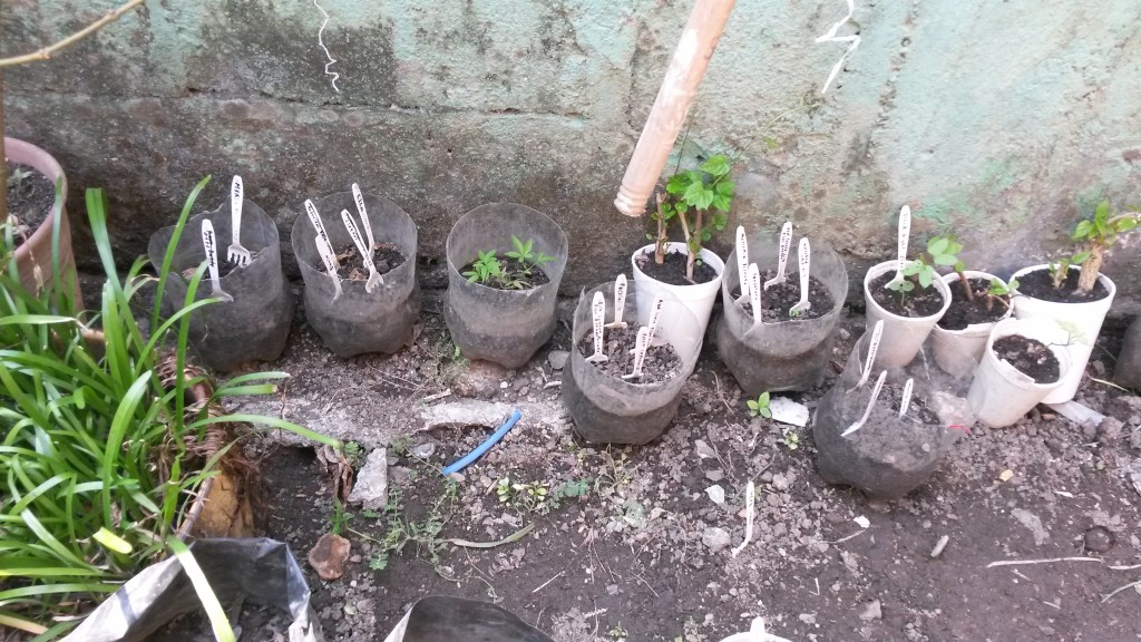 20150518_143029.jpg
