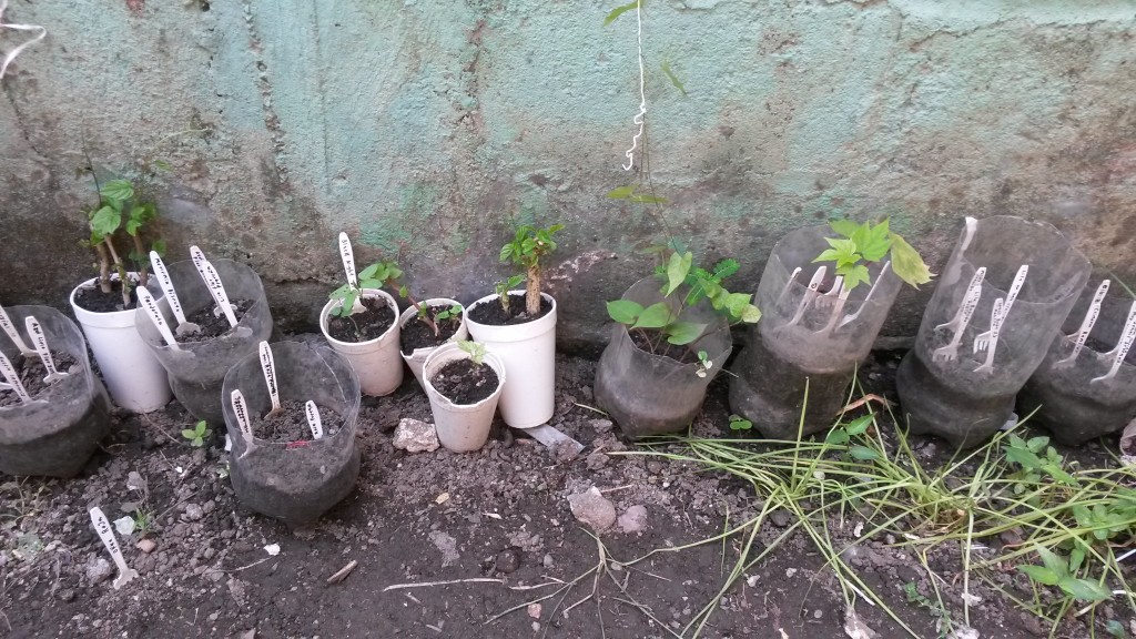 20150518_143038.jpg