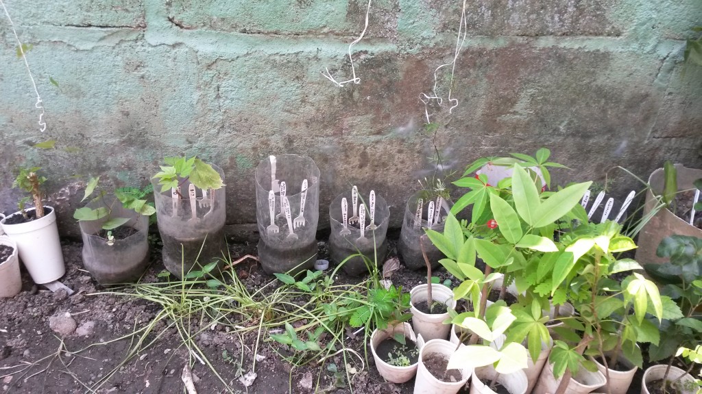 20150518_143044.jpg