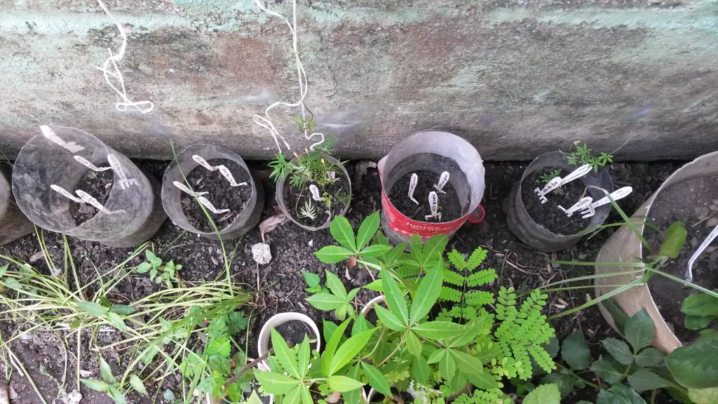 20150518_143052.jpg