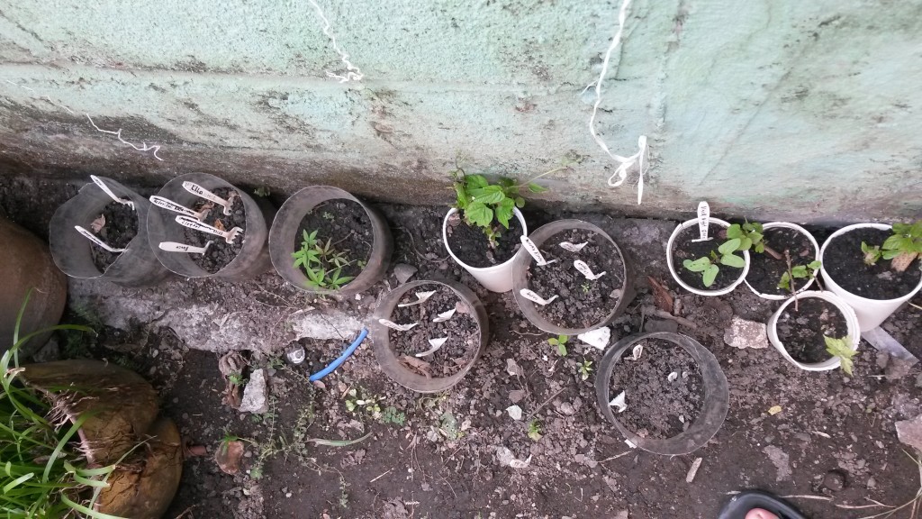 20150518_143113.jpg