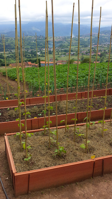 20150524_162949.jpg