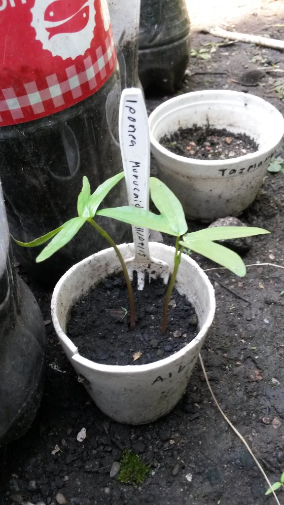 20150526_114251.jpg