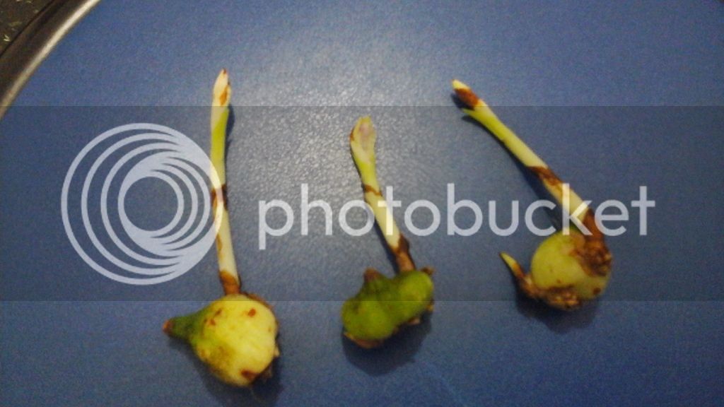20150609_190612_zps6uxfjez2.jpg