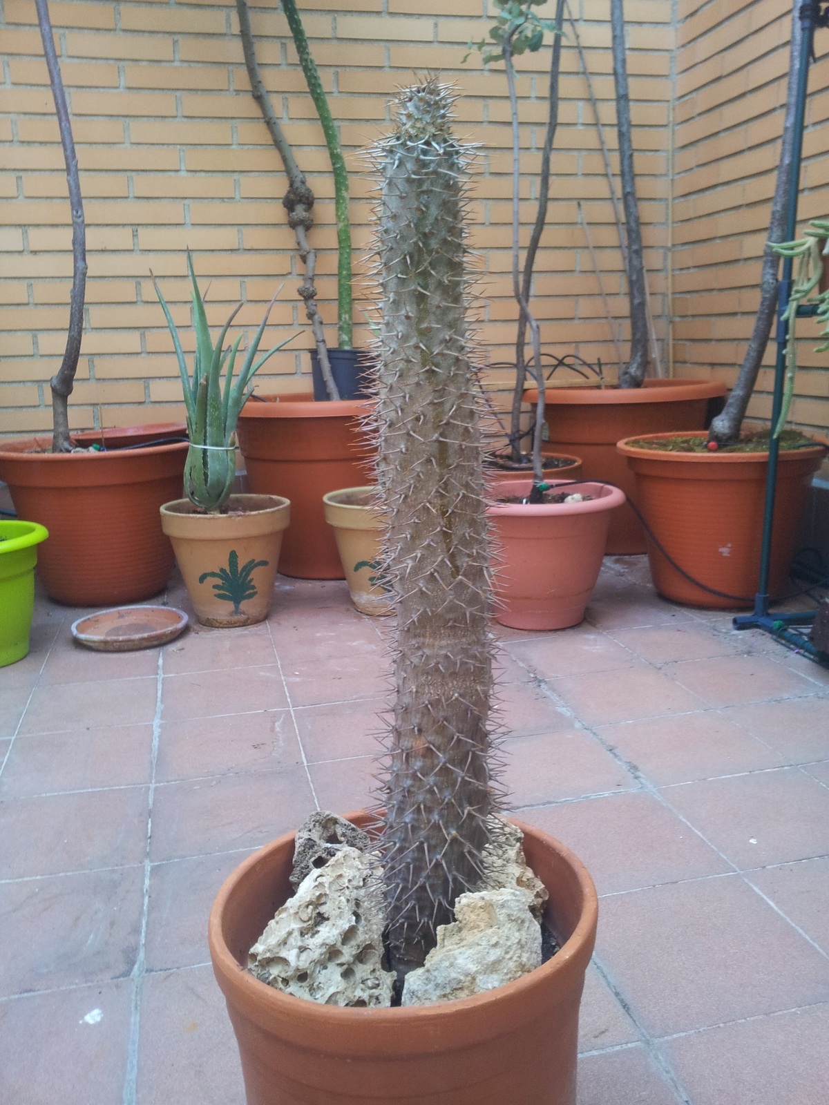 20150624_201011.jpg
