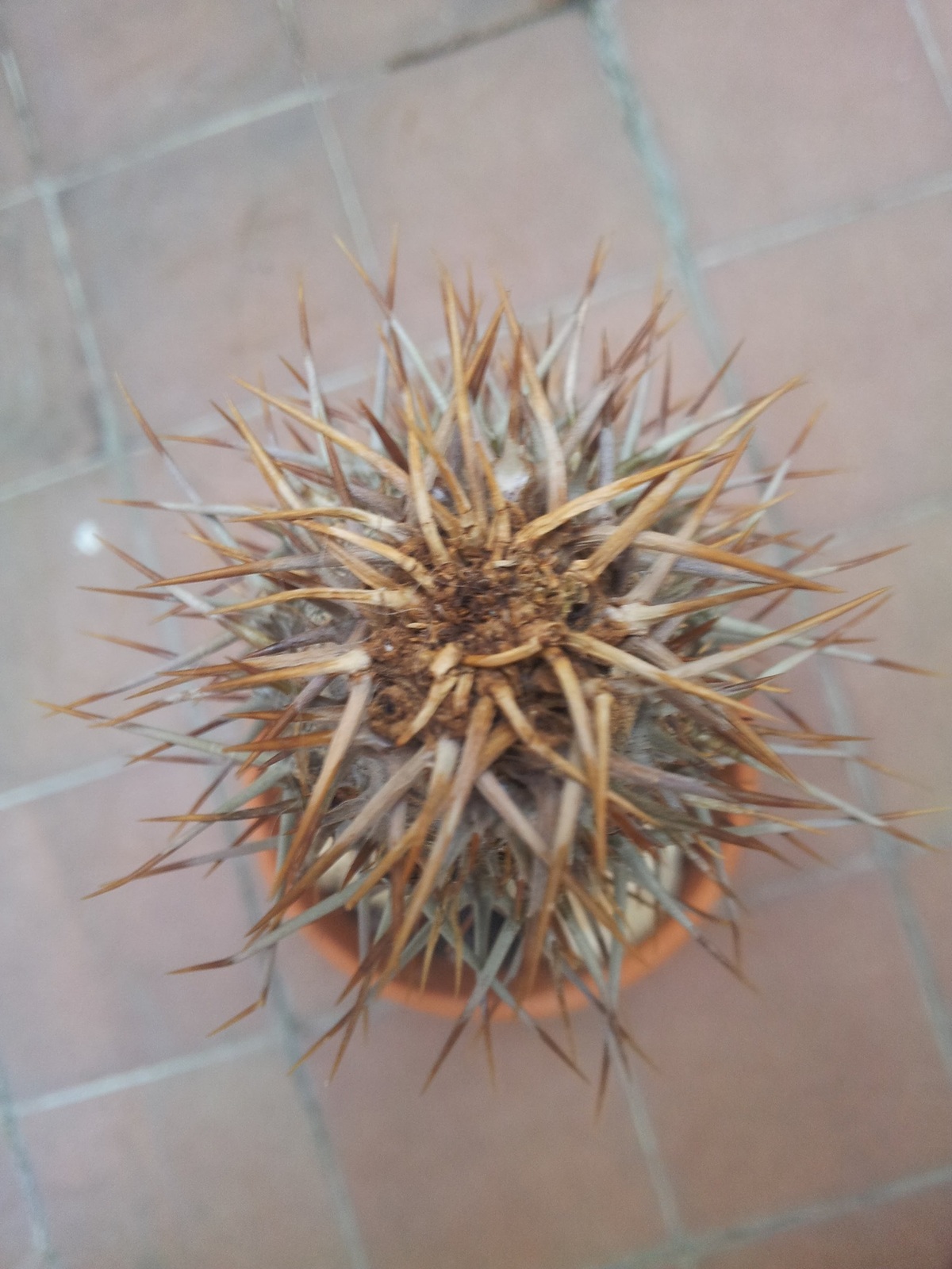 20150624_201123.jpg