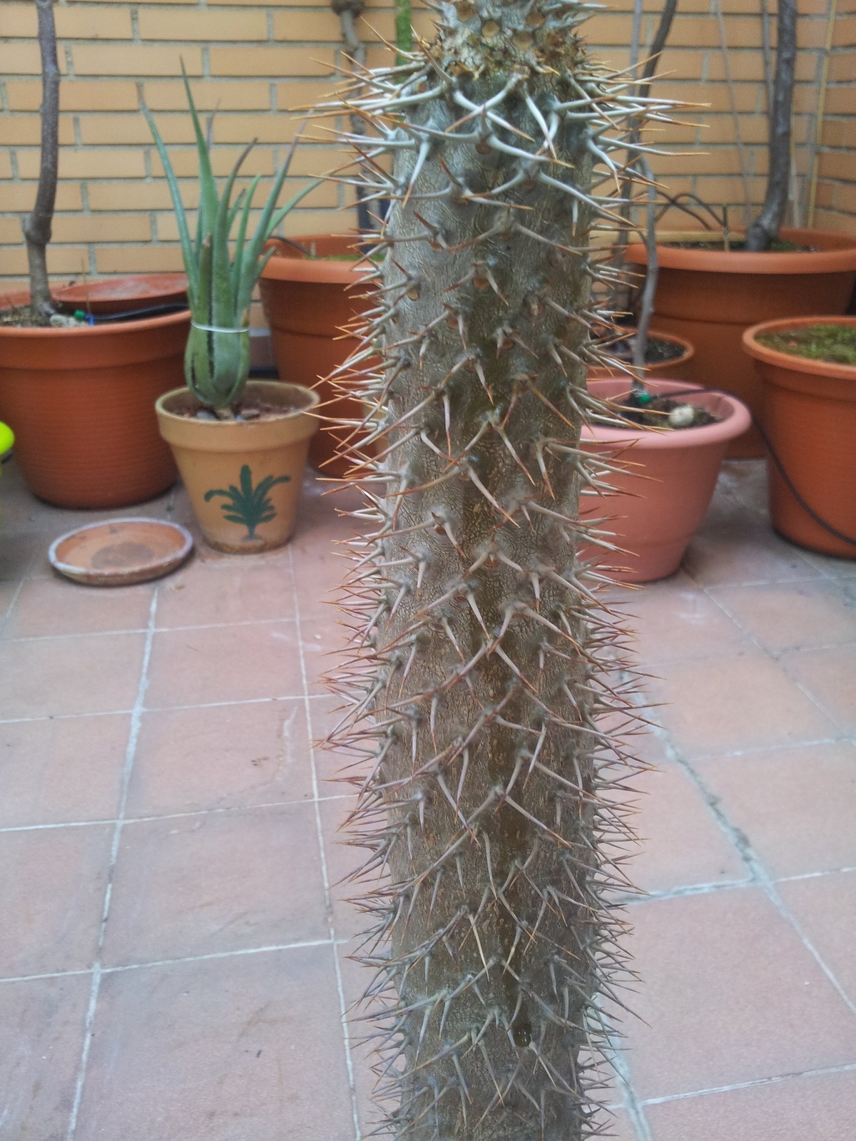 20150624_201229.jpg