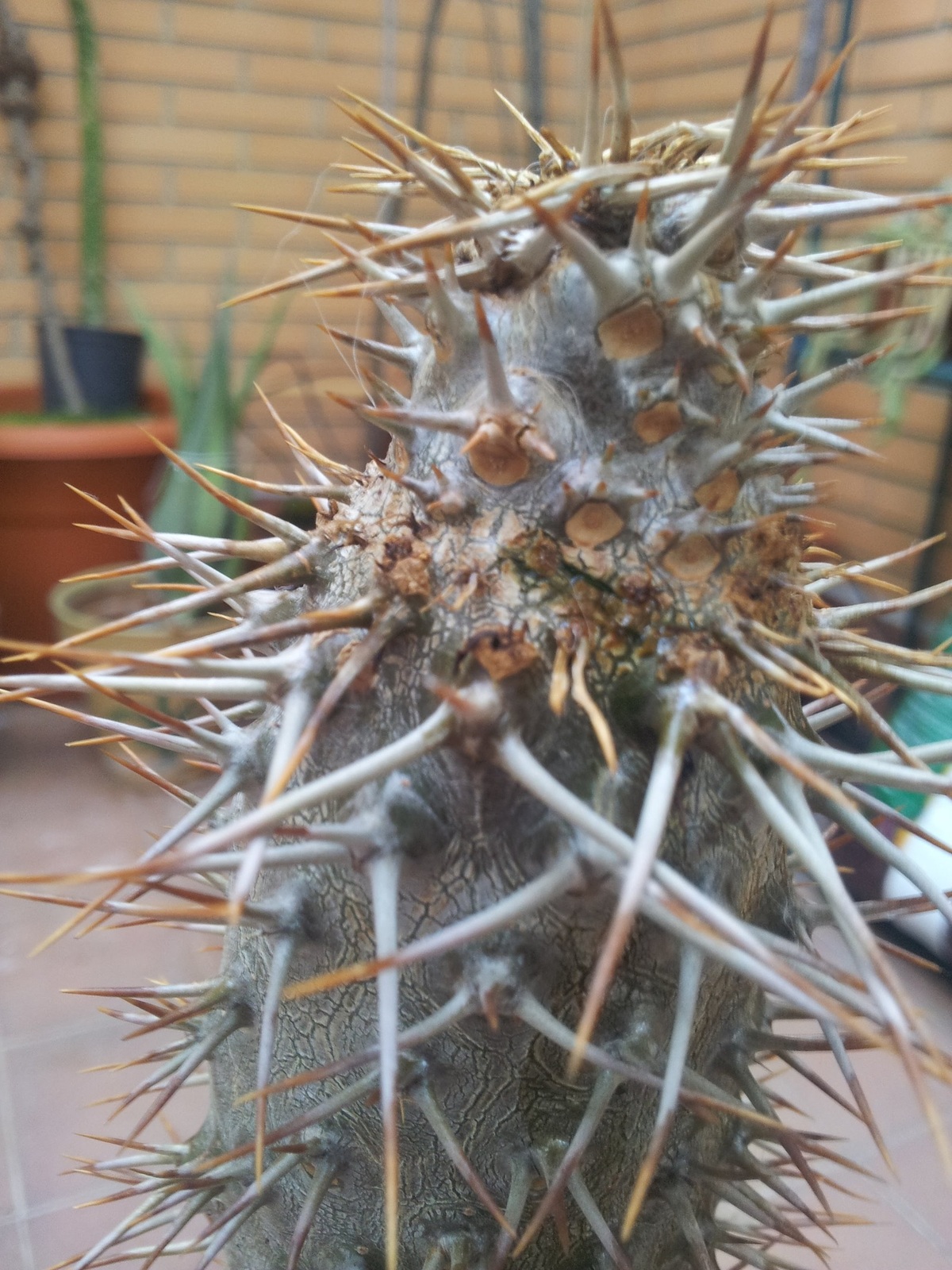 20150624_201415.jpg