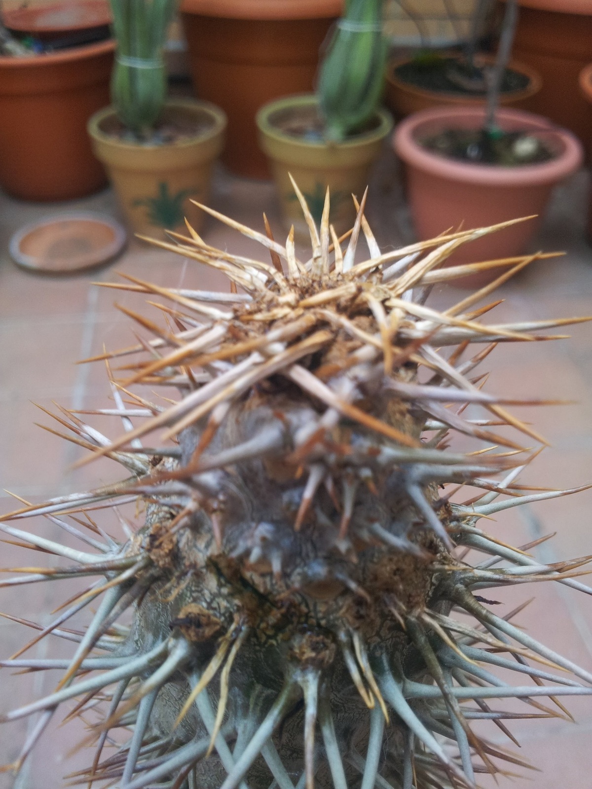 20150624_201457.jpg