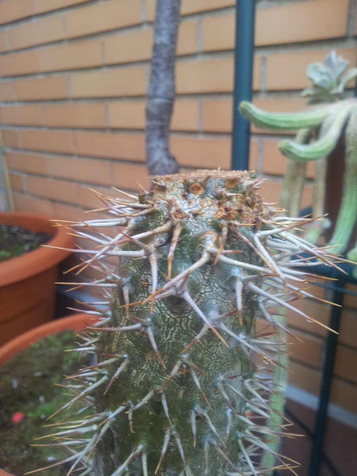 20150627_200159.jpg