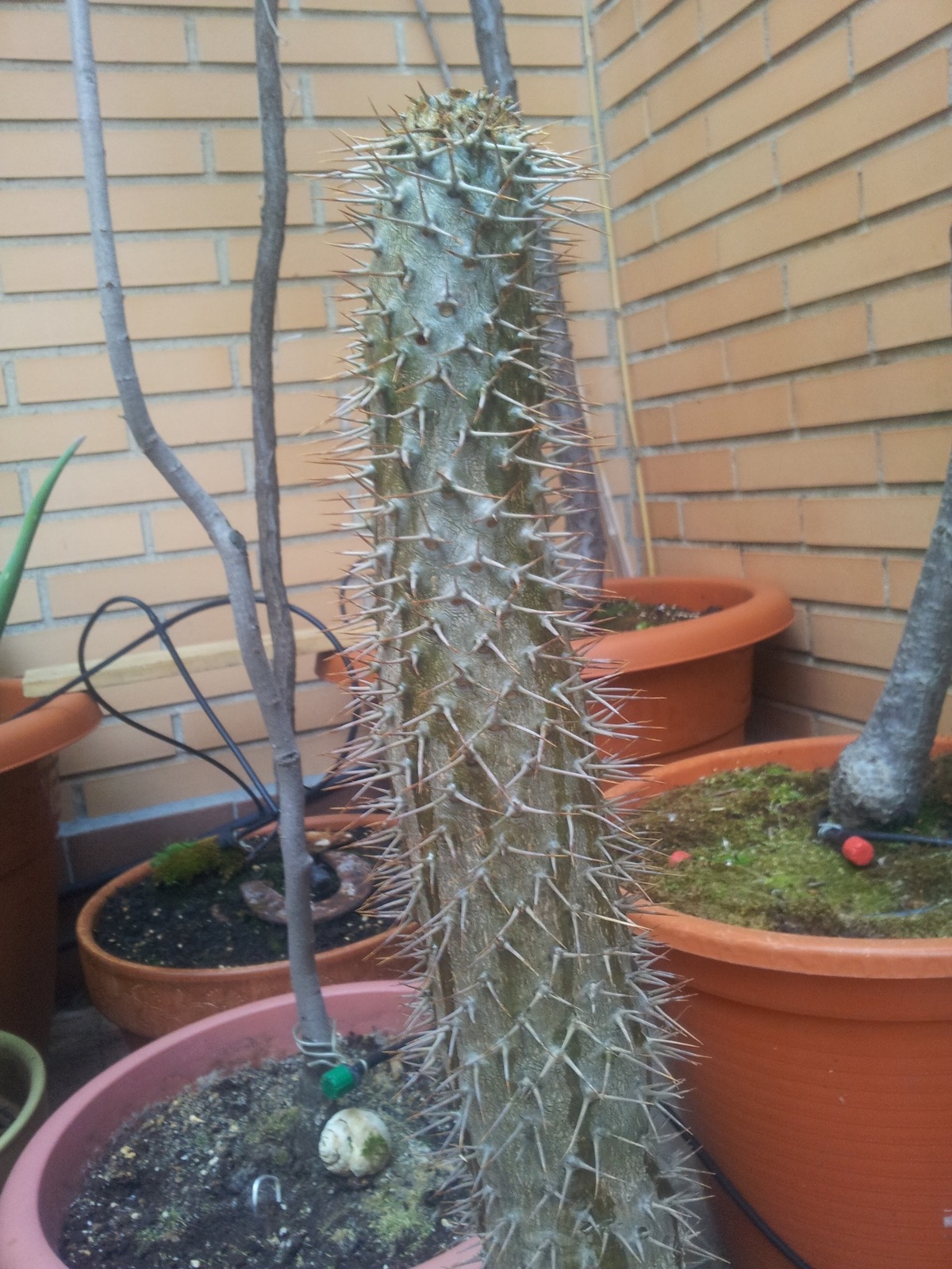 20150627_200306.jpg