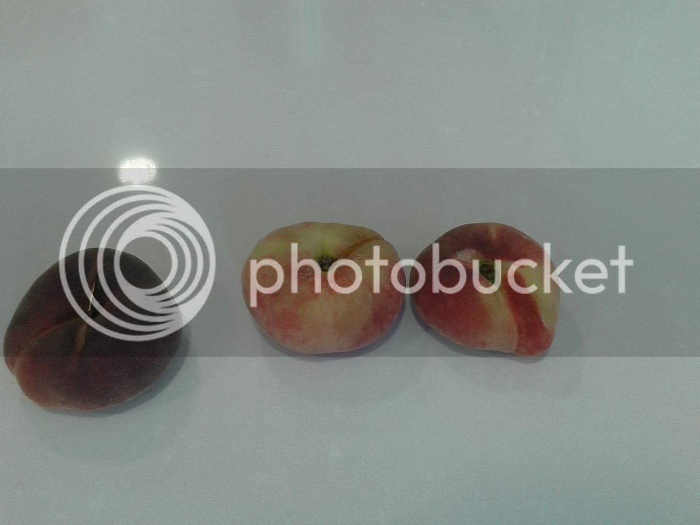 20150702_184138_zpsewxommpd.jpg