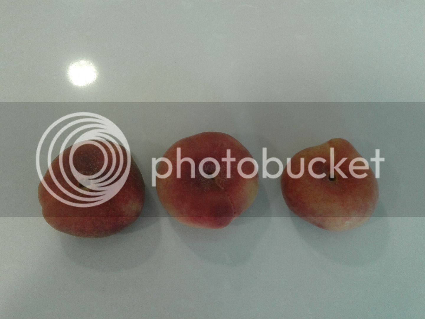 20150702_184147_zpsnadzp9nd.jpg