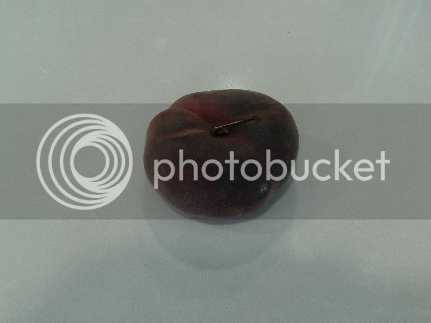 20150702_184215_zpsraxqn0sa.jpg