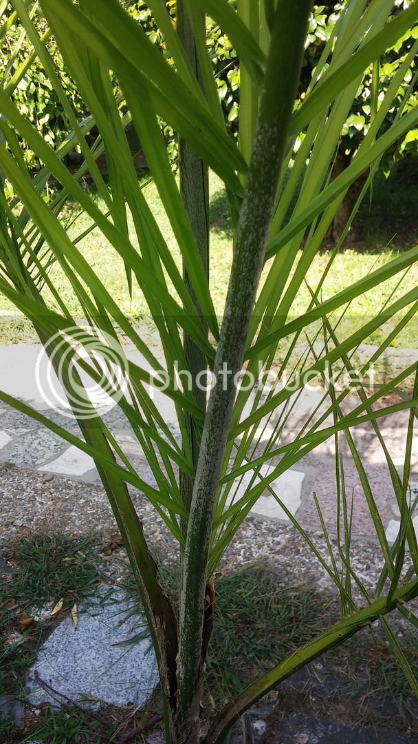 20150830_111828_zpsfd82ktqx.jpg