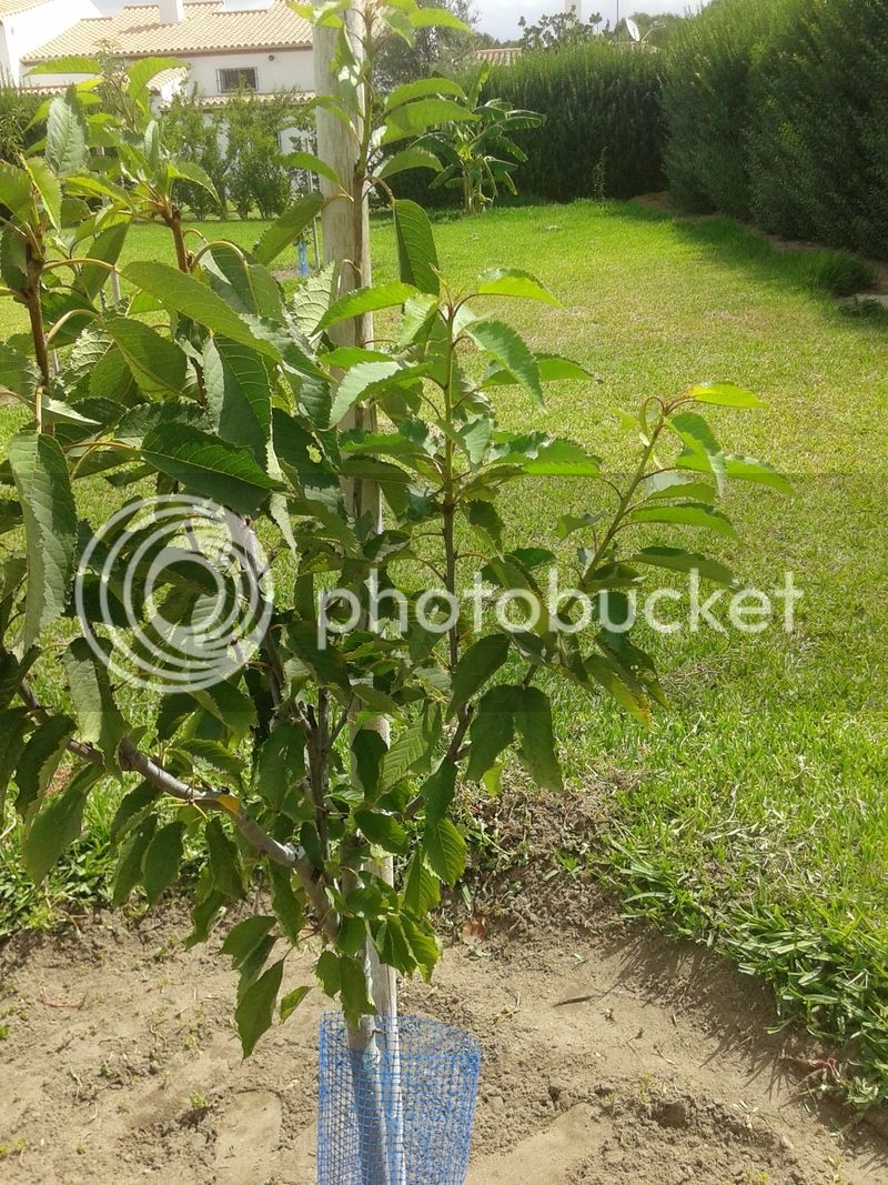 20150903_130425_zpsembsufai.jpg