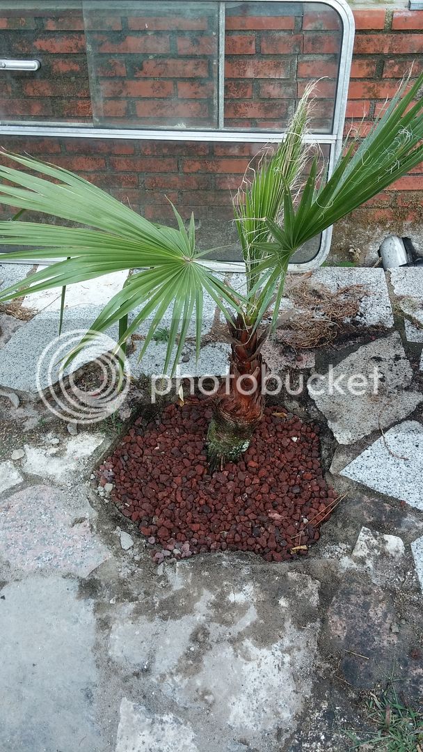 20150903_200243_zps1kxqqizi.jpg